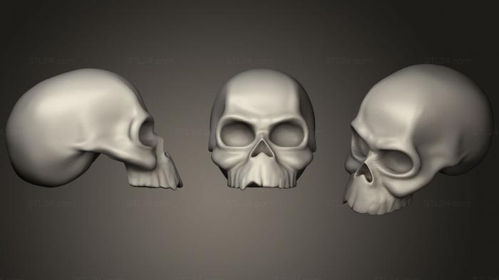 Anatomy of skeletons and skulls (Skull Human, ANTM_1041) 3D models for cnc